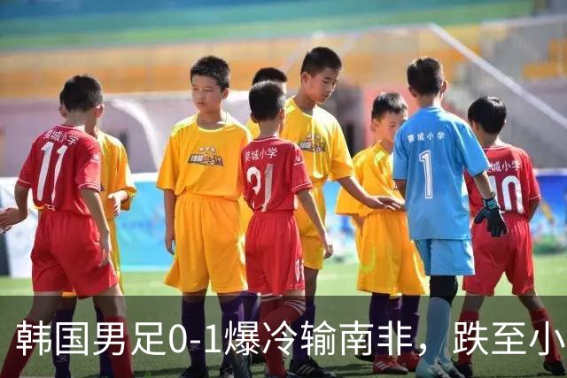 韩国男足0-1爆冷输南非，跌至小组第三，晋级形势堪忧